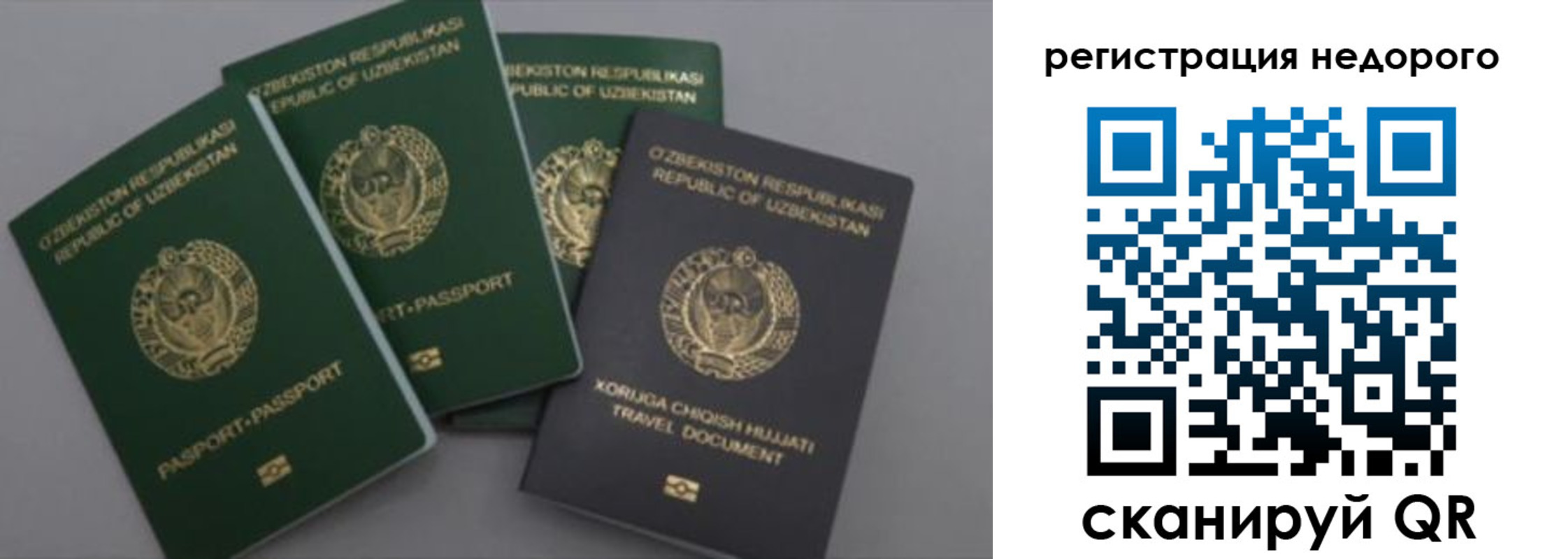 пропишу в квартире в Ростове-на-Дону